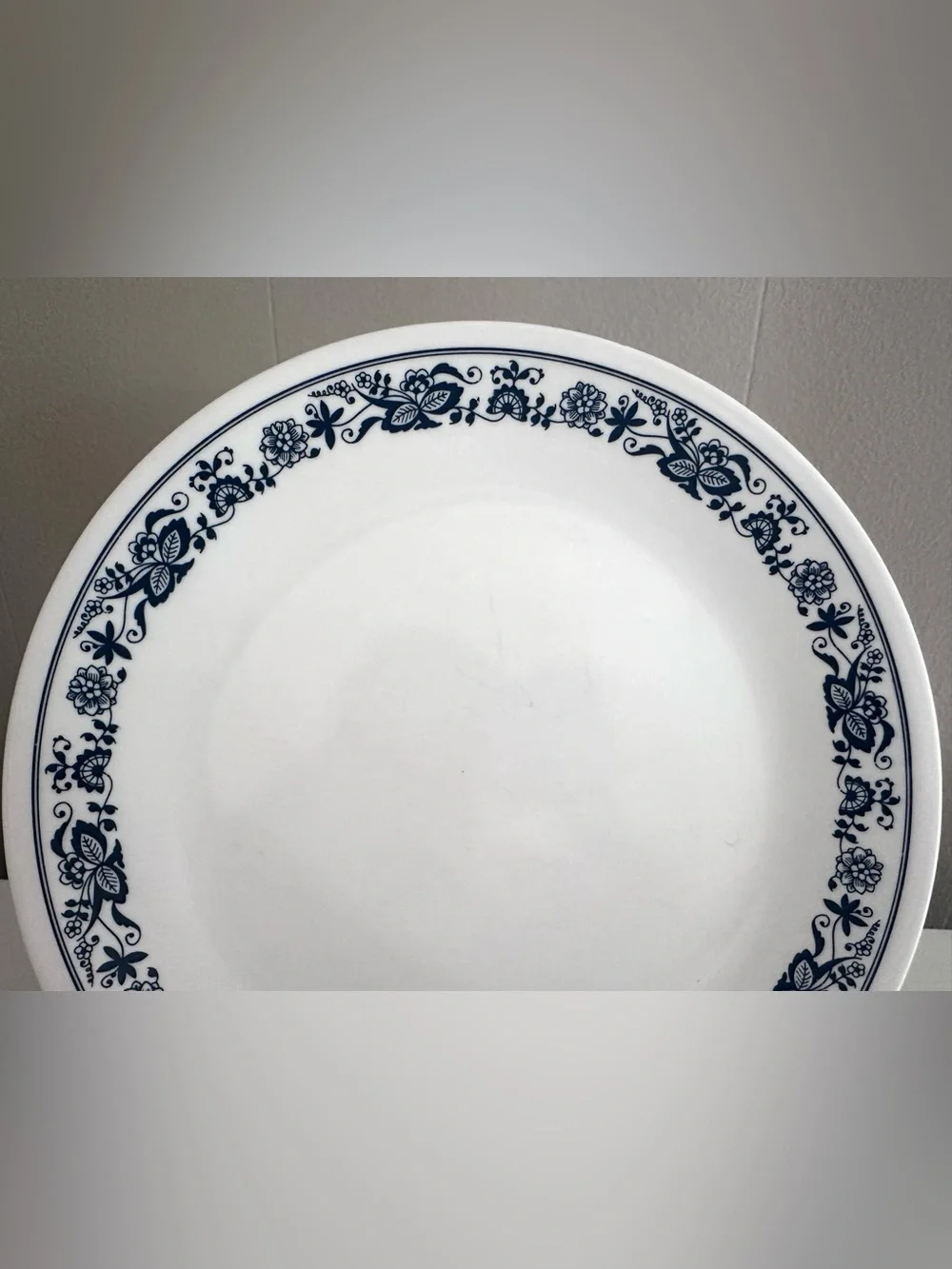 Old Town Blue Corelle 10” Dinner Plates PAIR